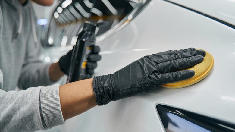 person applying wax to car