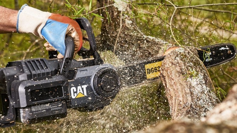 CAT 60V chainsaw sawing through a tree branch
