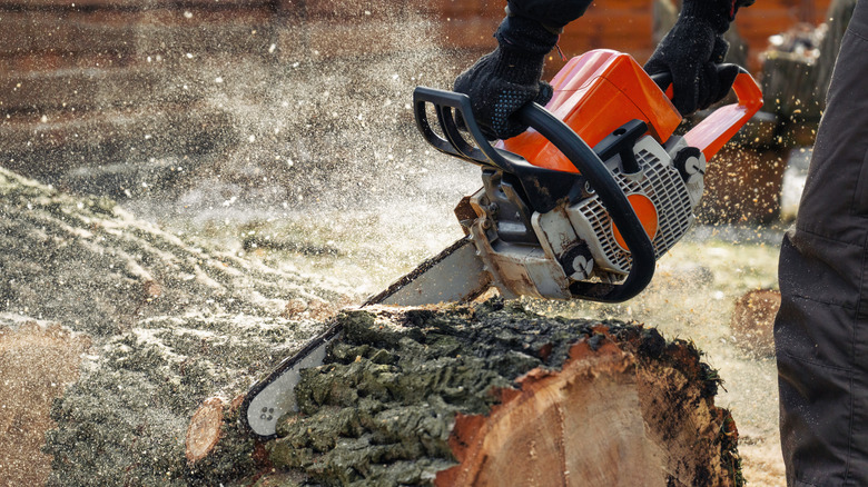 man using chainsaw on a tree