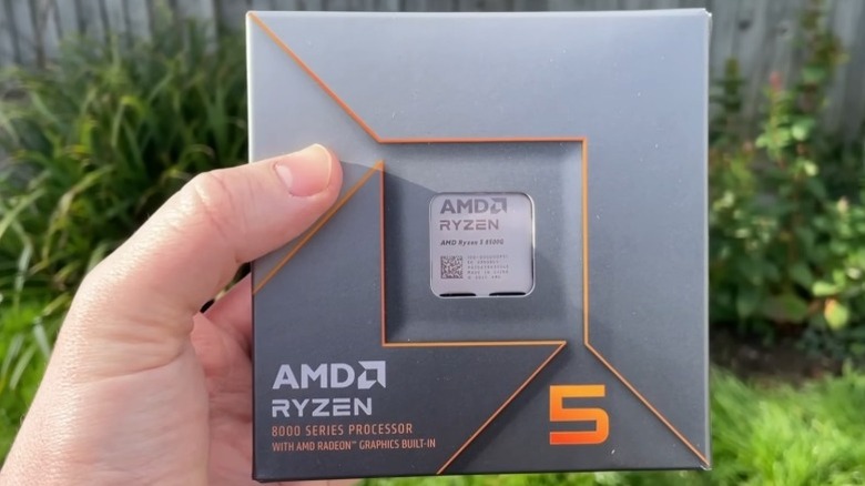 Hand holding a boxed AMD Ryzen 5 8500G CPU