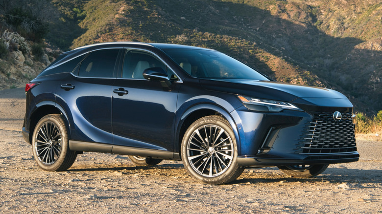 2025 Lexus RX in the mountains