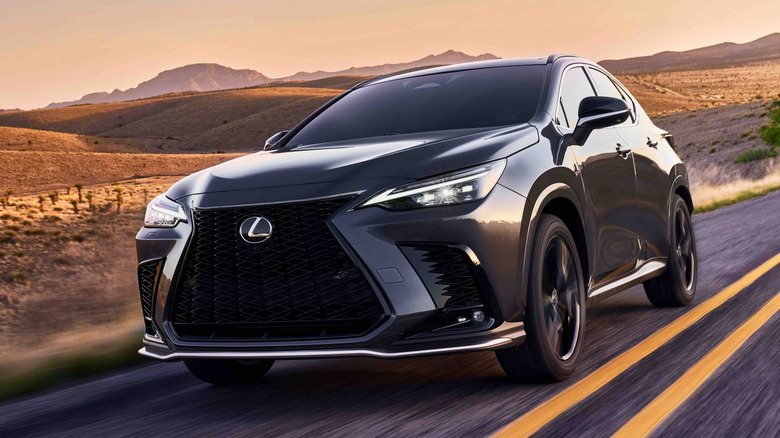 2025 Lexus NX on the road