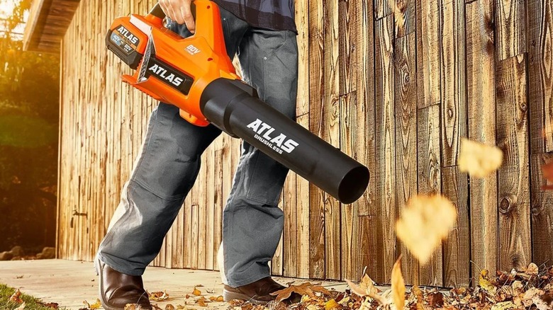 using an Atlas leaf blower at home