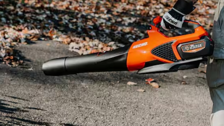 Blowing leaves with Echo blower
