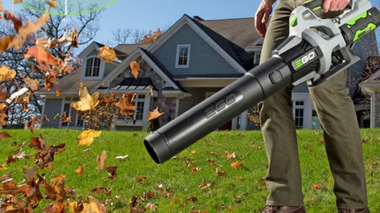 blowing leaves with Ego blower