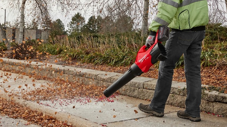 clearing leaves from sidewalk with Milwaukee blower