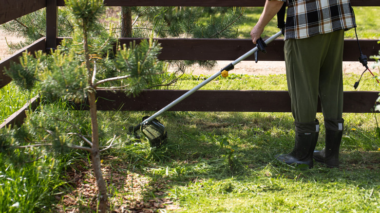 Gardener using a weed eater