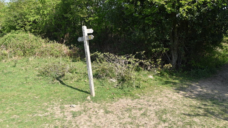 A leaning post next to a trail.