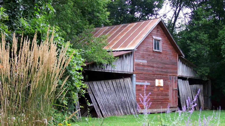 An old shed on a Minnesota Farmstead.