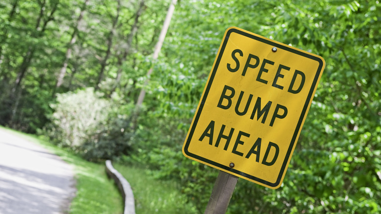 Speed bump sign