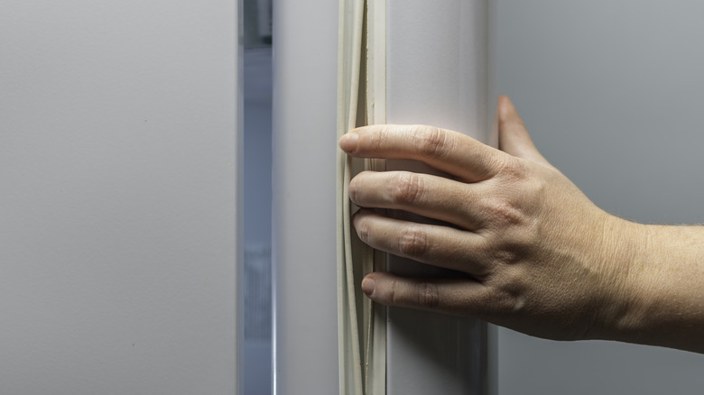 A person's hand showing a worn out refridgerator gasket