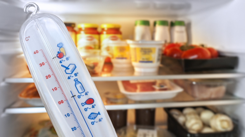 Thermometer next to an open refrigerator