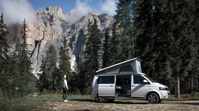 camper in beautiful park with mountains