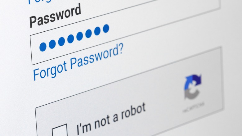website password entry page on computer screen