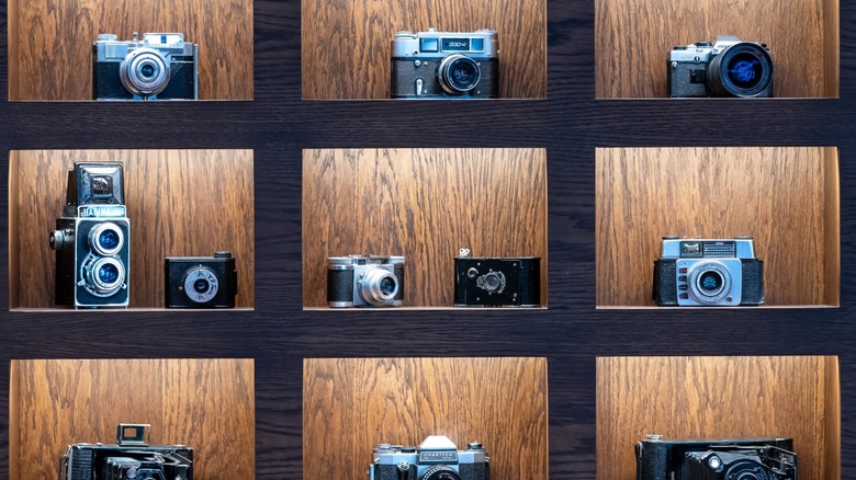 Vintage cameras on a wood display shelf