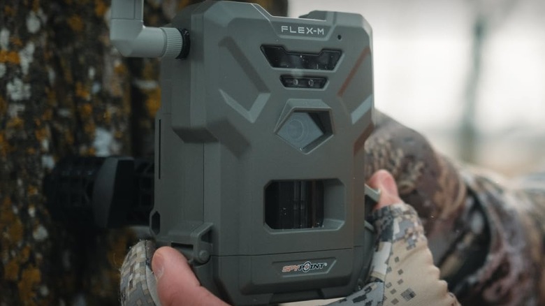 person attaching trail camera to tree