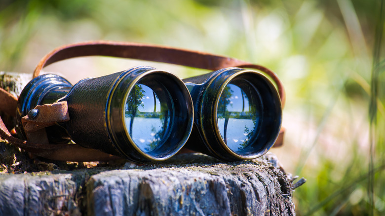 TETRA Turkey AmpPods