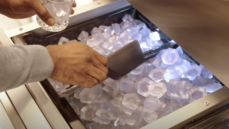 Ice drawer inside Thermador refrigerator
