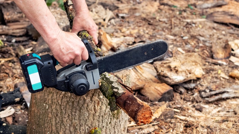 Cutting branches mini chainsaw