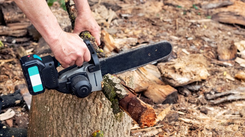 5 Cordless Mini Chainsaws For Use In Tight Spaces