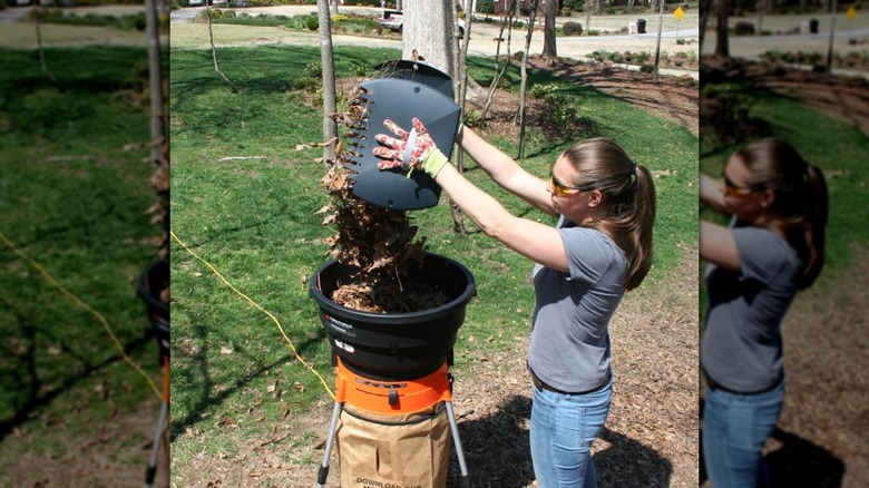 woman putting leaves in shredder