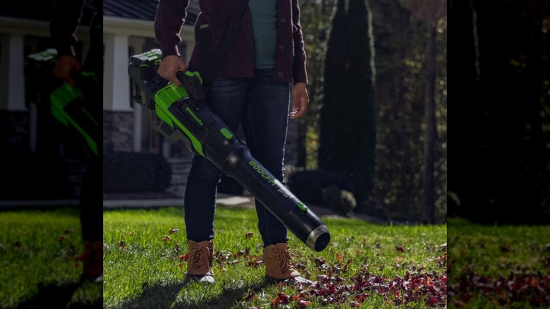 A person holding leaf blower in a lawn with dry leaves