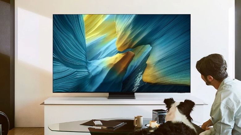 Man and dog watching Samsung S95F OLED
