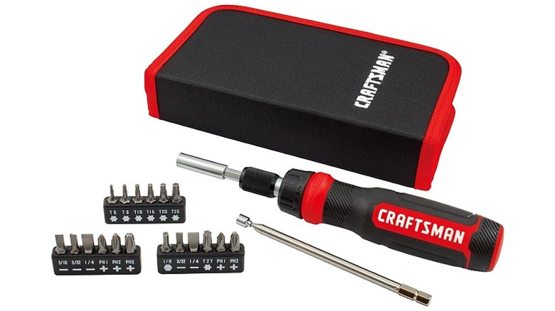 Ratcheting screwdriver with case and many bits