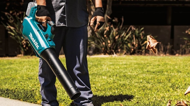 Person using a 18V LXT Lithium Ion Brushless Cordless Blower