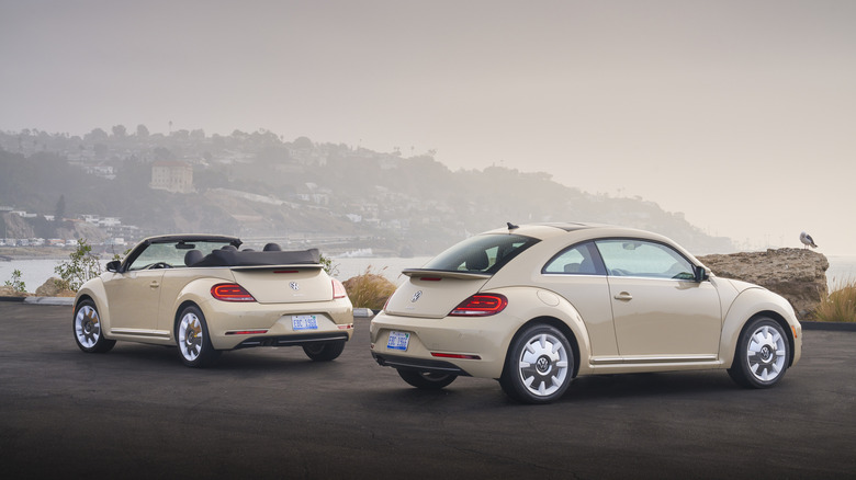Two beige Volkswagen Final Edition Beetles are parked on an ocean overlook