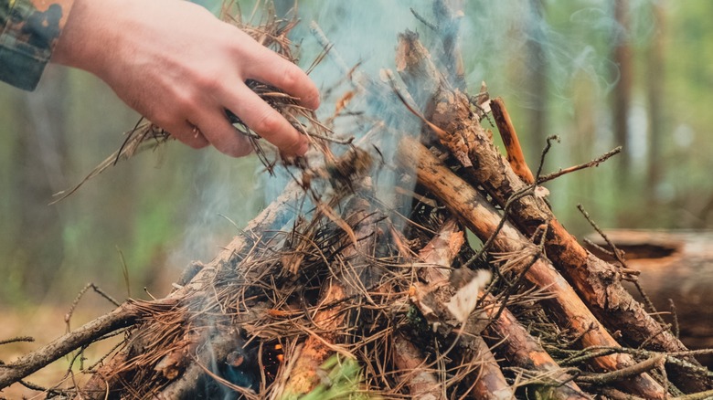 Placing kindling in campfire