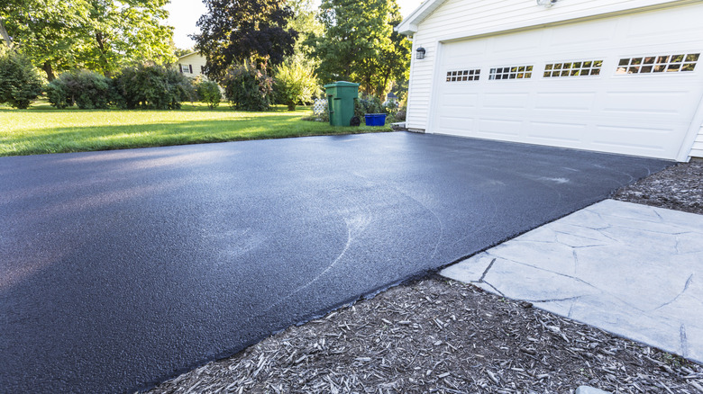A freshly repaved asphalt driveway in front of a white garage door.