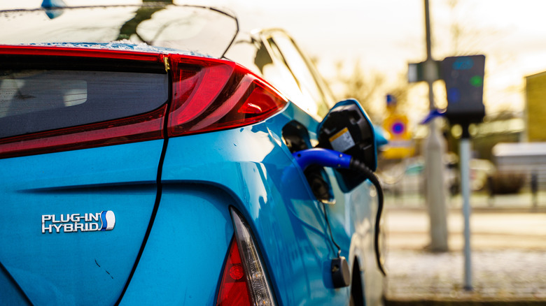A rear-end view of a Toyota Prius plug-in hybrid while being charged.