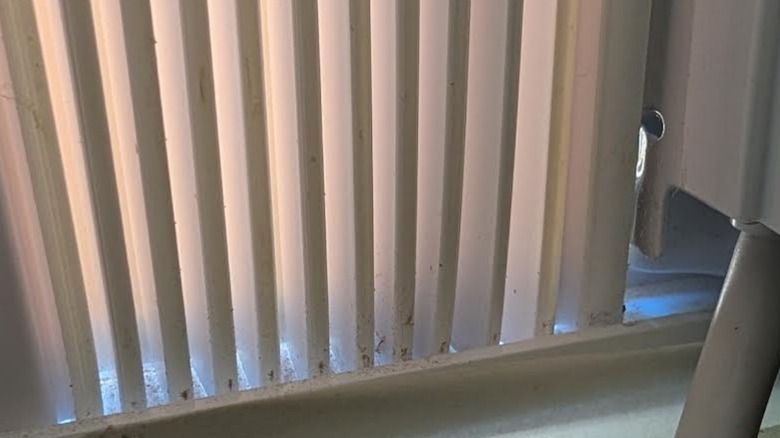 Close up of divider panel with light shining through gaps