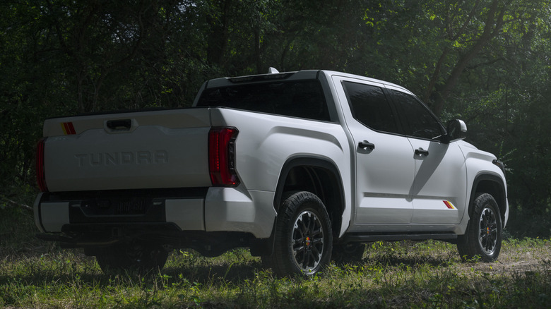 2026 Toyota Tundra in forest, rear-right 3/4 view