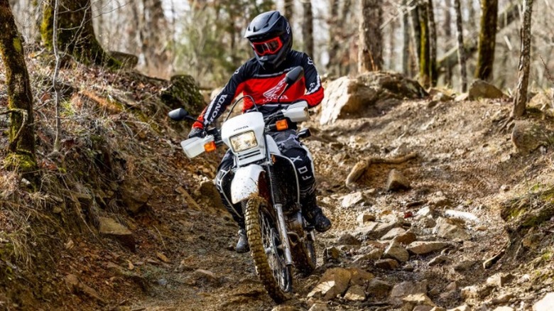 Rider on Honda XR650L going down rocky hill