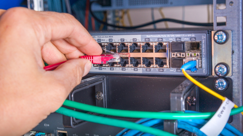 A person connecting an Ethernet cable to a network switch