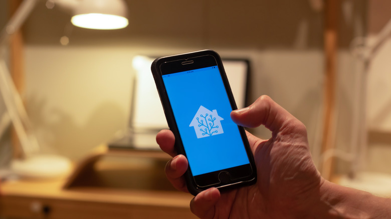 Home Assistant app running on a smartphone
