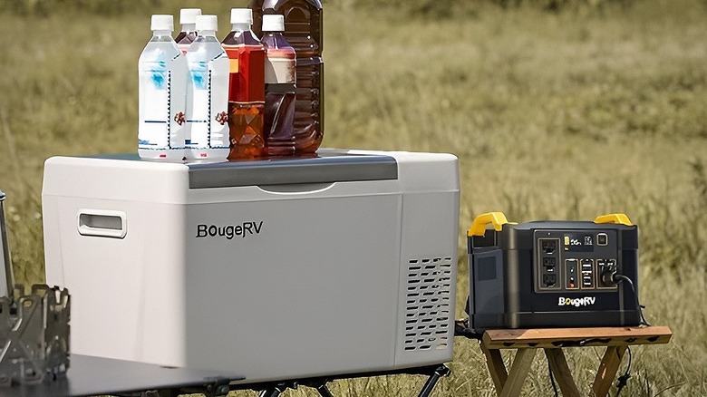 BougeRV 23﻿-Quart Electric Cooler
