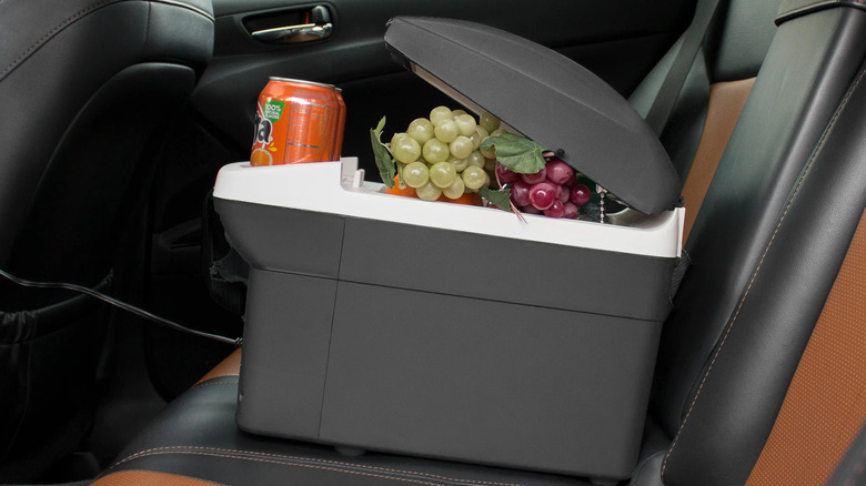 Wagan Thermoelectric Cooler
