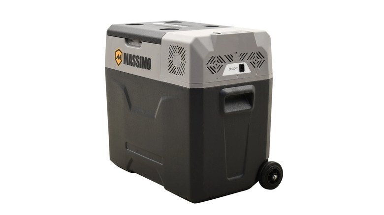 Massimo e-cooler pictured against a white background