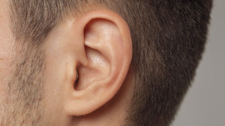close up of an ear