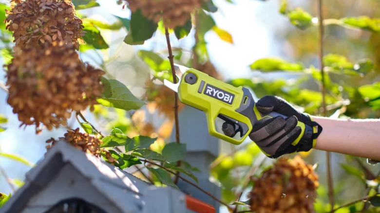 USB Lithium Pruning Shears in use