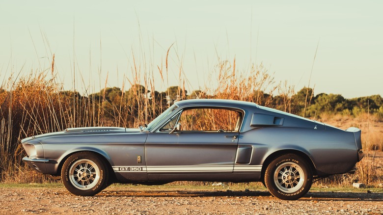 1967 Mustang GT 350 parked field