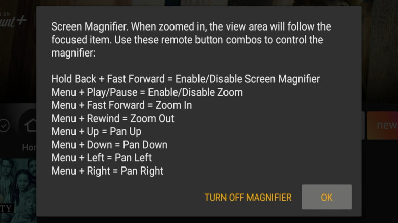 A screenshot of a Fire Stick menu explaining at length how to use Screen Magnifier