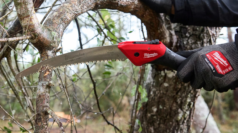 person using a Milwaukee 10-inch folding pruning saw to prune a tree branch
