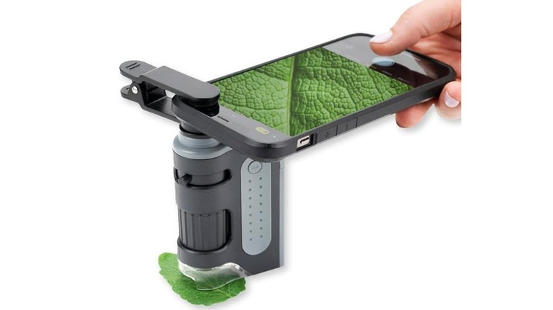 A smartphone attached to Carson handheld microscope with a clip adapter, displaying a magnified view of a green leaf on its screen