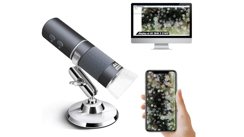 Ninyoon 4K digital microscope on a stand, showing its magnified feed simultaneously on a nearby computer monitor and a smartphone.