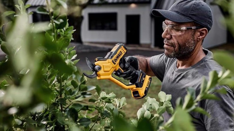 A man wearing safety glasses cutting branches with DeWalt pruner