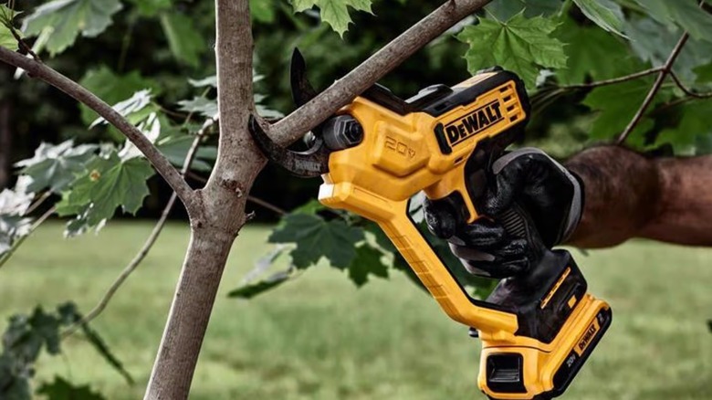 A gardener wearing work gloves cutting branches with DeWalt pruner